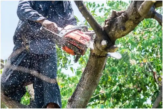 tree services Deschutes River Woods